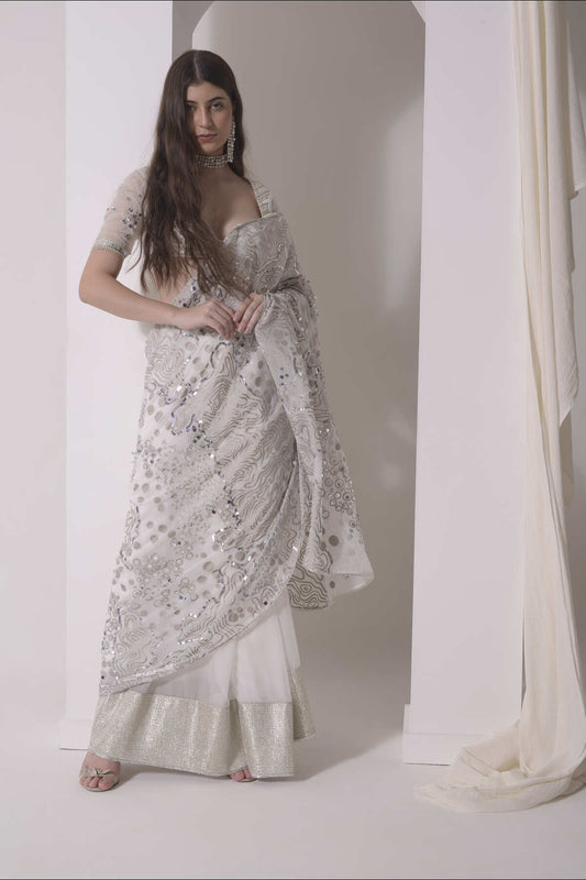 Foil twinkling saree with embroidered blouse