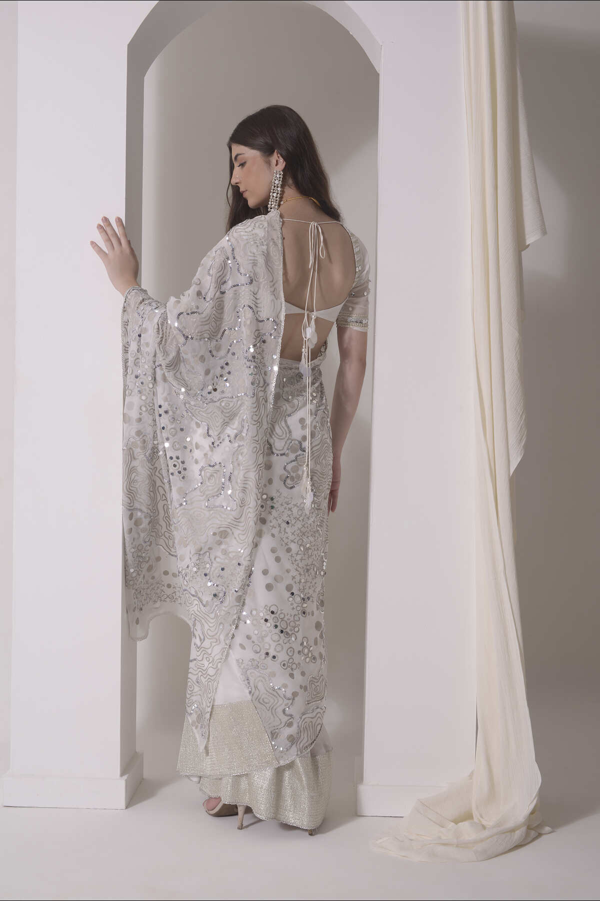 Foil twinkling saree with embroidered blouse