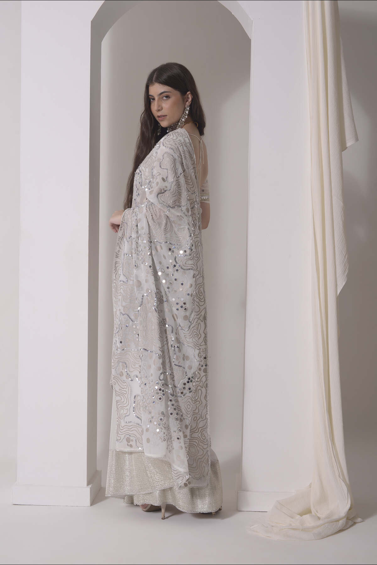 Foil twinkling saree with embroidered blouse