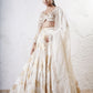 Foil Circular Lehenga with Embroidered Blouse and Dupatta