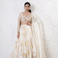 Foil Circular Lehenga with Embroidered Blouse and Dupatta