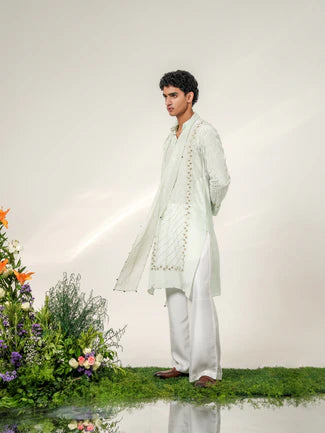 VICTORIAN GLEAM KURTA SET