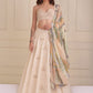 Embroidered lehenga with a dori embellished bustier